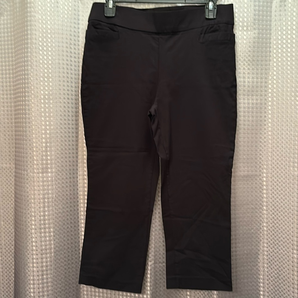 Briggs women’s crapi pants size 6
